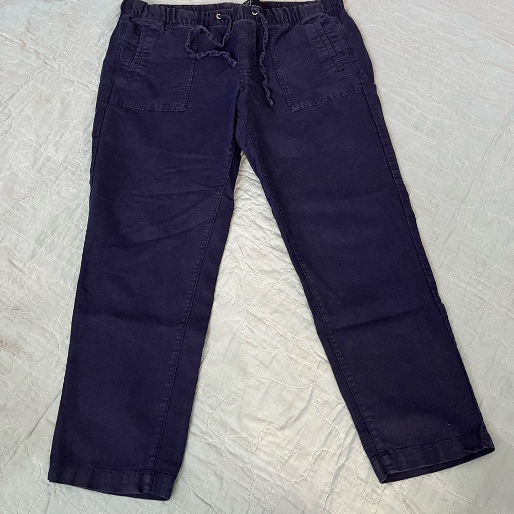 GAP Dark Blue Linen Pants